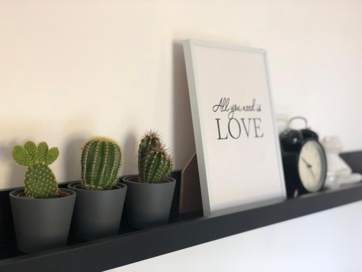 Apartman Spring Сомбор Екстериор снимка