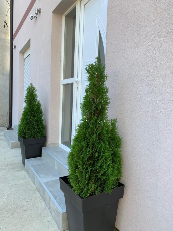 Apartman Spring Сомбор Екстериор снимка